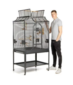 Montana Vogelvoliere Madeira III, Antik 15 Montana Vogelvoliere Madeira III, Antik -Gartenbedarf Angebote 5187430 WE M 001 PPVoliereMadeiraIIIAntik