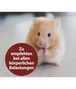 Quiko® Vitacombex® Na Multivitaminsaft Für Nager, 125 Ml 7 Quiko® Vitacombex® Na Multivitaminsaft Für Nager, 125 Ml -Gartenbedarf Angebote 5198106 WE MO 001 QuikoNFVitacombexNa125ml