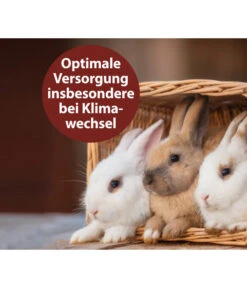 Quiko® Vitacombex® Na Multivitaminsaft Für Nager, 125 Ml 8 Quiko® Vitacombex® Na Multivitaminsaft Für Nager, 125 Ml -Gartenbedarf Angebote 5198106 WE MO 002 QuikoVFVitacombexNa125ml