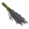 Trockenblumenbund Lavendel -Gartenbedarf Angebote 6491682 PR FS 001 LavendeltiefblauBund DehnerExpressHerzig