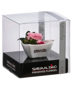 Dehner Herzschale Mit Longlife-Rose Aneta, Rosa, Ca. B7/H5 Cm -Gartenbedarf Angebote 6537641 WE FS 001 LL HerzAnetaROSA