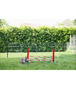 KERBL Agility Nagerspielzeug Steilsprung, Ca. B70/H35/T5 Cm 8 KERBL Agility Nagerspielzeug Steilsprung, Ca. B70/H35/T5 Cm -Gartenbedarf Angebote 6603179 WE MO 001 AgilitySeilsprungNager