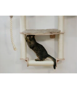 KERBL Wandkratzbaum Dolomit Grappa Pro, Beige, Ca. B70/H138/T66 Cm 9 KERBL Wandkratzbaum Dolomit Grappa Pro, Beige, Ca. B70/H138/T66 Cm -Gartenbedarf Angebote 6603245 WE MO 002 KratzbaumDolomitGrappaPro