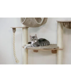 KERBL Wandkratzbaum Dolomit Grappa Pro, Beige, Ca. B70/H138/T66 Cm 10 KERBL Wandkratzbaum Dolomit Grappa Pro, Beige, Ca. B70/H138/T66 Cm -Gartenbedarf Angebote 6603245 WE MO 003 KratzbaumDolomitGrappaPro