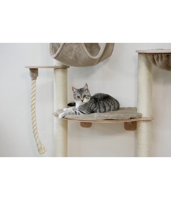 KERBL Wandkratzbaum Dolomit Grappa Pro, Beige, Ca. B70/H138/T66 Cm 6 KERBL Wandkratzbaum Dolomit Grappa Pro, Beige, Ca. B70/H138/T66 Cm – Bild 4