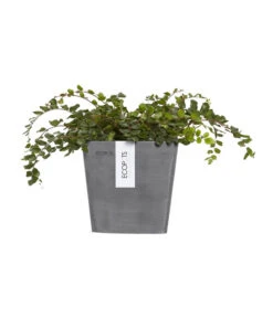 Ecopots Kunststoff-Kasten Manhattan Mit Wassersystem, Grau 13 Ecopots Kunststoff-Kasten Manhattan Mit Wassersystem, Grau -Gartenbedarf Angebote 6614895 WE FS 003 EcopotsKunststoffTopfManhattanWallSmitWassersystemquadratischgrau