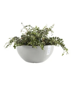 Ecopots Kunststoff-Topf Brussels, Rund -Gartenbedarf Angebote 6614978 WE FS 002 EcopotsKunststoffTopfBrusselsrund