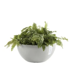 Ecopots Kunststoff-Topf Brussels, Rund -Gartenbedarf Angebote 6614978 WE FS 003 EcopotsKunststoffTopfBrusselsrund