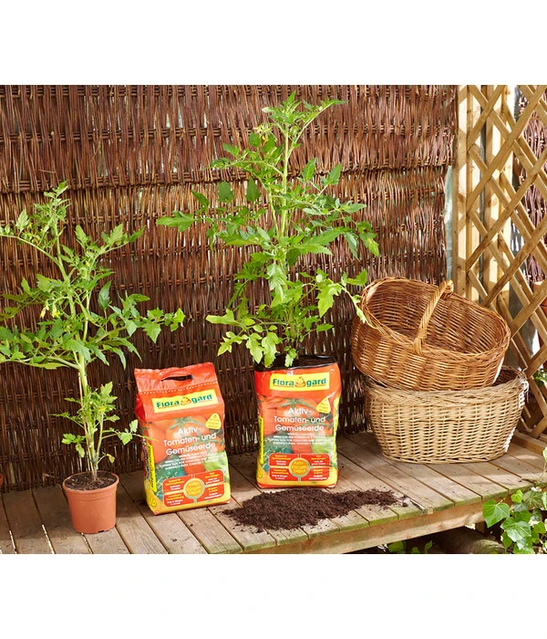 Floragard Aktiv Tomaten- Und Gemüseerde 4 Floragard Aktiv Tomaten- Und Gemüseerde – Bild 2
