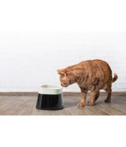 SAVIC Wassernapf Ergo Cube, Ca. B22/T22/H16 Cm 11 SAVIC Wassernapf Ergo Cube, Ca. B22/T22/H16 Cm -Gartenbedarf Angebote 6628093 WE MO 001 SavicErgoCubWassernapf