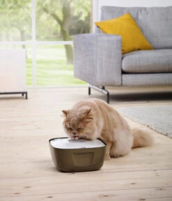 SAVIC Trinkbrunnen Volcano, Weiß/grau, Ca. B25/H11/T25 Cm -Gartenbedarf Angebote 6628101 WE MO 001 SavicVolcanoTrinkbrunnen