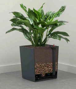 Siena Garden Kunststoff-Topf Biron, Eckig, Ca. B40/H41,5/T40 Cm -Gartenbedarf Angebote 6655336 WE DE 002 PflanzgefaessBironGraphit