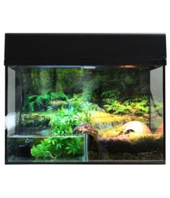 Lucky Reptile Starter Kit Komplettset Bombina/Pacman, Ca. B80/H52/T40 Cm