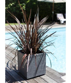 EDA-plastiques Kunststoff-Topf Graphit, Gerillt 9 EDA-plastiques Kunststoff-Topf Graphit, Gerillt -Gartenbedarf Angebote 6763643 WE MO 001 PflanztopfGrap40x40