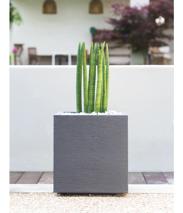 EDA-plastiques Kunststoff-Topf Graphit, Gerillt 7 EDA-plastiques Kunststoff-Topf Graphit, Gerillt – Bild 5