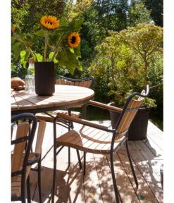 Cinas Stapelstuhl Ellen -Gartenbedarf Angebote 6843569 WE MO 002 EllenArmlehnstuhl