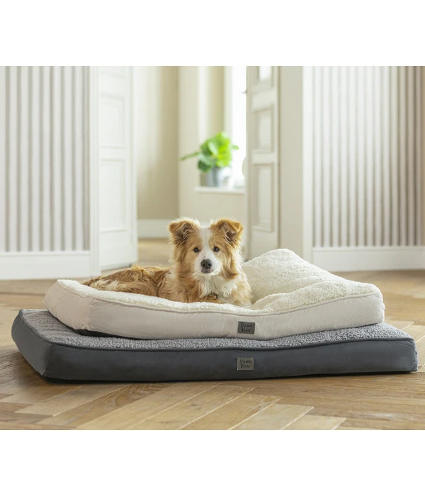 Dehner Lieblinge Kuschelkissen Dream Team Chilly, Beige 4 Dehner Lieblinge Kuschelkissen Dream Team Chilly, Beige – Bild 2