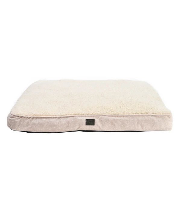 Dehner Lieblinge Kuschelkissen Dream Team Chilly, Beige 3 Dehner Lieblinge Kuschelkissen Dream Team Chilly, Beige
