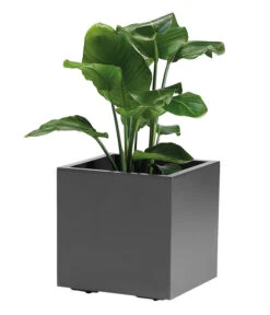 Kunststoff-Topf, Quadratisch, Ca. B40/H40/T40 Cm 7 Kunststoff-Topf, Quadratisch, Ca. B40/H40/T40 Cm -Gartenbedarf Angebote 6935407 WE FS 002 PflanzenkuebelKebeGreener40cmAnthrazit