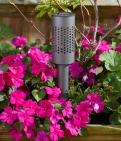 Smart Garden Solarleuchte Solstar, Ca. Ø6,2/H42 Cm -Gartenbedarf Angebote 6936595 WE MO 002 SmartGardenSolarleuchteSolstar365caH62cm