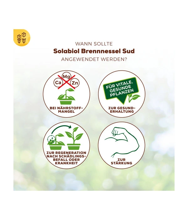 Solabiol® Brennnessel Sud, 1 L 7 Solabiol® Brennnessel Sud, 1 L – Bild 5