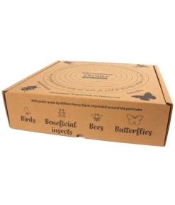 Wildlife Vogeltränke Shenstone, Hellgrün, Ca. Ø44,5/H12 Cm -Gartenbedarf Angebote 6952410 WE DE 003 WildlifeShenstoneVogeltraenke