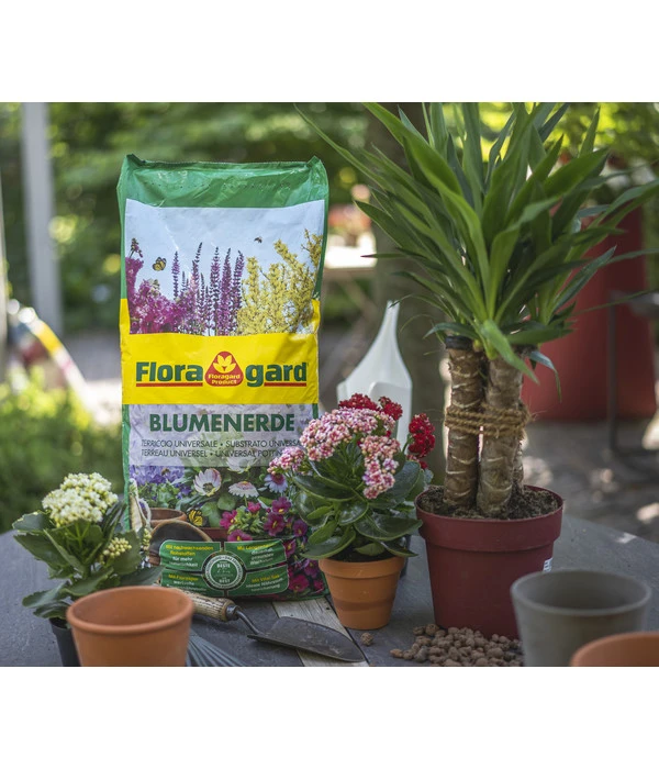 Floragard Blumenerde, 4 X 20 L 4 Floragard Blumenerde, 4 X 20 L – Bild 2