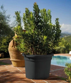 Farmet New Kunststoff-Topf, Konisch, Inkl. Untersetzer -Gartenbedarf Angebote 6965511 WE MO 001 FarmetNewKunststoffTopfZylindrischrund