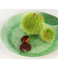 Esskastanie -Gartenbedarf Angebote 7091580 PR DE 002 CastaneaSativaEsskastanieDehnerExpressHerzig