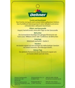 Sommerbirne 'Clapps Liebling' -Gartenbedarf Angebote 7625494 SommerbirneClappsLiebling Etikett 2