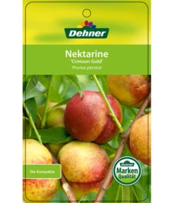 Nektarine 'Crimson Gold' -Gartenbedarf Angebote 7626005 NektarineCrimsonGold Etikett 1