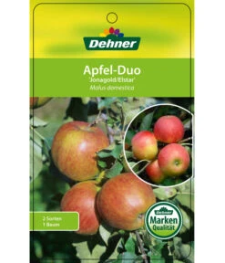 Apfel-Duo 'Jonagold'/'Elstar' -Gartenbedarf Angebote 7639248 Apfel DuoJonagoldElstar Etikett 1