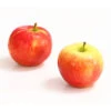 Herbstapfel 'Gerlinde' -Gartenbedarf Angebote 7648413 WE DE 003 ApfelGerlindeDehnerExpressHerzig
