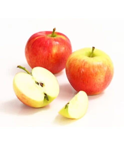 Herbstapfel 'Gerlinde' 6 Herbstapfel 'Gerlinde' -Gartenbedarf Angebote 7648413 WE DE 004 ApfelGerlindeDehnerExpressHerzig