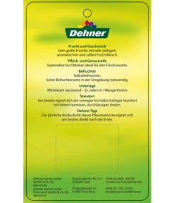 Dehner Pflaume 'Königin Viktoria' -Gartenbedarf Angebote 7702558 PflaumeKoeniginVictoria Etikett 2