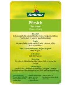 Dehner Pfirsich 'Red Haven' 7 Dehner Pfirsich 'Red Haven' -Gartenbedarf Angebote 7728827 PfirsichRedHeaven Etikett 2