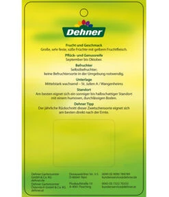 Zwetschge 'Presenta' -Gartenbedarf Angebote 7729460 ZwetschePresenta Etikett 2