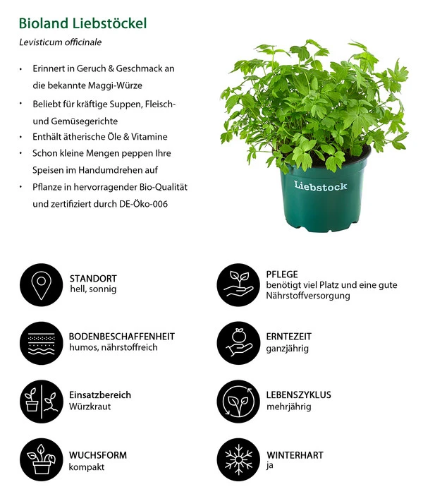 Bioland Liebstöckel 4 Bioland Liebstöckel – Bild 2