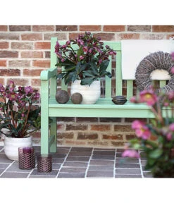 Schneerose 'Ice N' Roses® Red' - Helleborus Gold Collection® -Gartenbedarf Angebote 8010969 WE MO 001 HelleborusWeinrotDehnerExpressHerzig