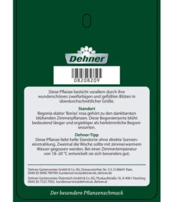 Elatior-Begonie - Begonia Elatior 'Borias®' 11 Elatior-Begonie - Begonia Elatior 'Borias®' -Gartenbedarf Angebote 8208209 BegonieBoriasrosa Etikett 2