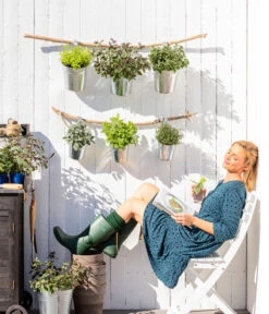 Dehner Gourmet Garten Strauchbasilikum 'Magic Blue' 10 Dehner Gourmet Garten Strauchbasilikum 'Magic Blue' -Gartenbedarf Angebote 8610123 WE MO 001 Oregano Kraeuter