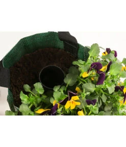 Wandhänger Mit Hornveilchen, Verschiedene Sorten -Gartenbedarf Angebote 8809048 WE DE 003 ViolaWandhaenger