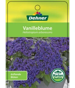 Vanilleblume 10 Vanilleblume -Gartenbedarf Angebote 8814279 Vanilleblume Etikett 1