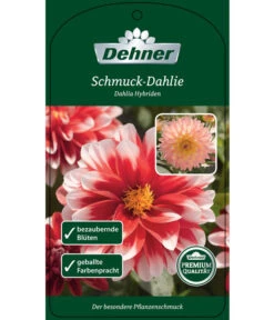 Dehner Premium Dahlie -Gartenbedarf Angebote 8822462 Schmuck Dahlie Etikett 1