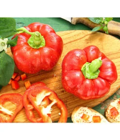 Bestseller 19 Dehner Gourmet Garten Tomatenpaprika