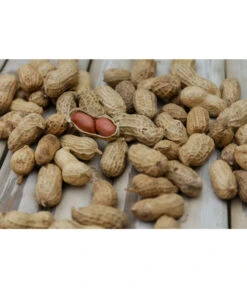 Bestseller 12 Bioland Erdnuss