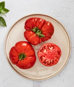 Bioland Fleischtomate -Gartenbedarf Angebote 8842627 WE MO 001 BiolandFleischtomate