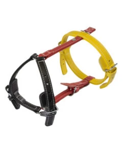 Das Lederband Hundegeschirr Frankfurt