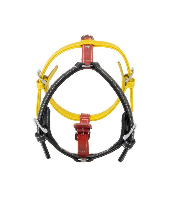 Das Lederband Hundegeschirr Frankfurt 4 Das Lederband Hundegeschirr Frankfurt – Bild 2