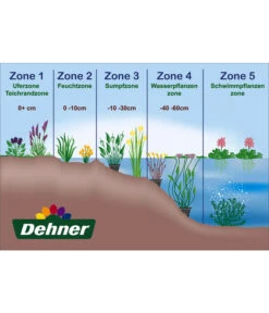Schachbrettblume - Kibitzei -Gartenbedarf Angebote WE DE 001 Teichzonen Wasserpflanzen Schild 2